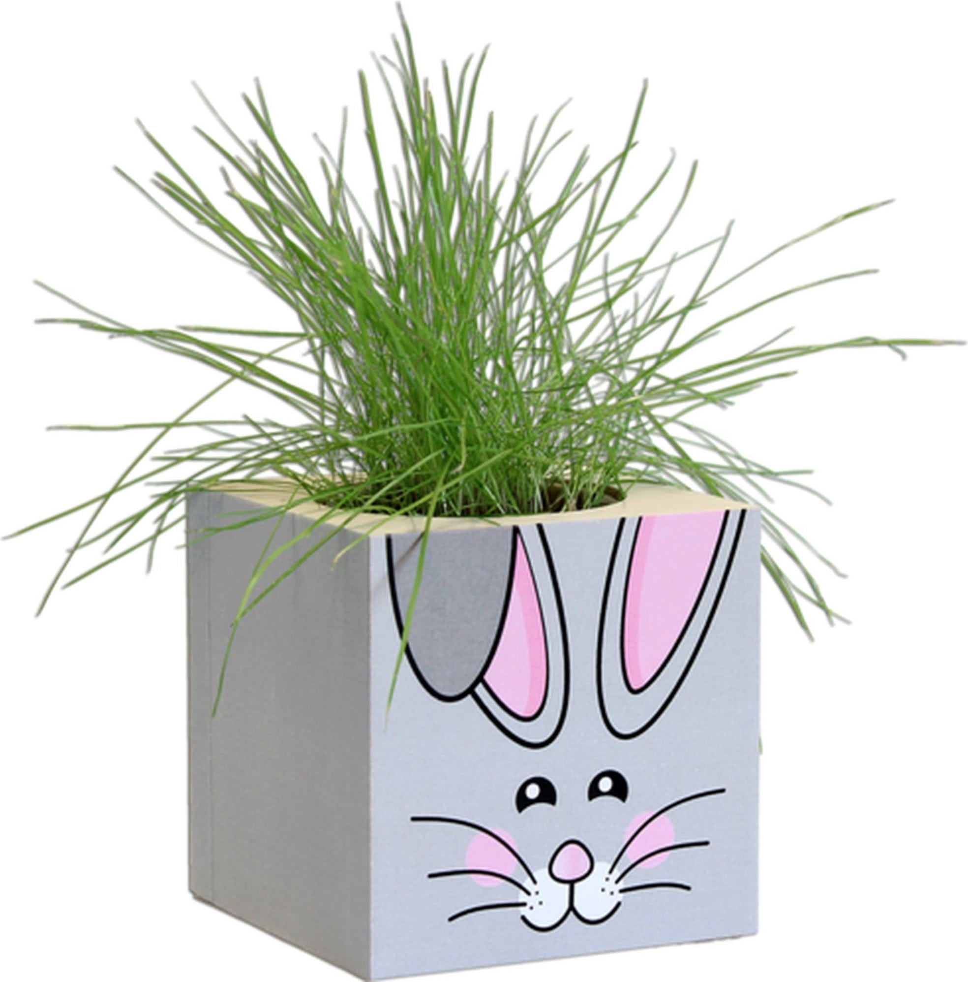  Grass Cube "Hase"