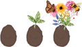  Seedegg "Tüte"