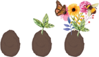  Seedegg "Tüte"