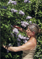 Felco Einhand-Baum-, Reb- & Gartenschere, S