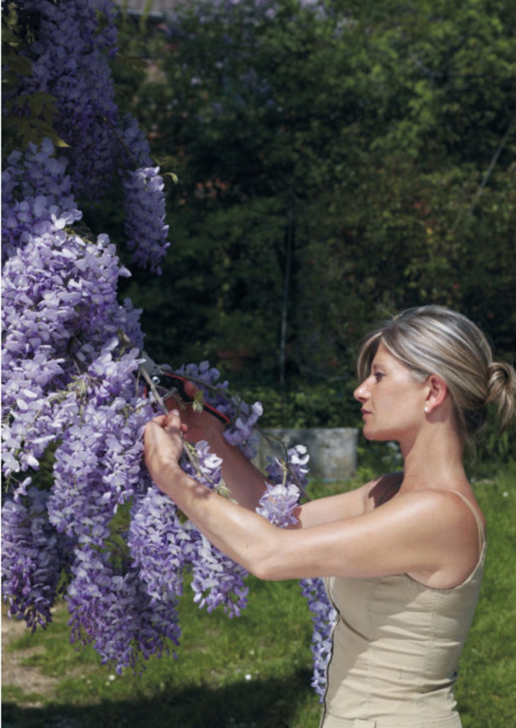 Felco Einhand-Baum-, Reb- & Gartenschere, S