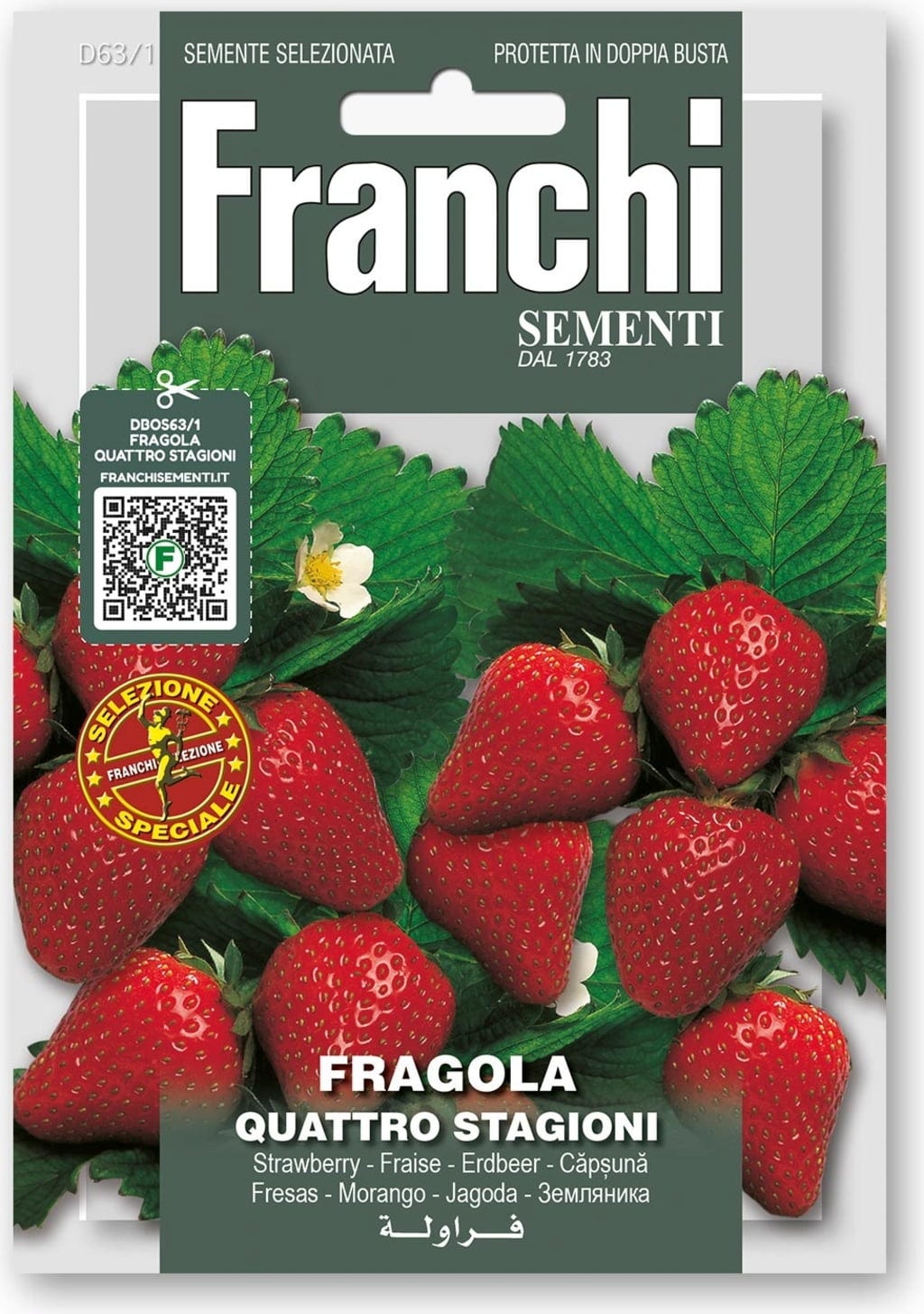  Erdbeeeren "Quattro Stagioni"