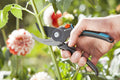 Gardena Gartenschere B/M