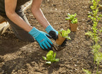 Gardena Pflanz- Und Bodenhandschuh Größe 7 / S