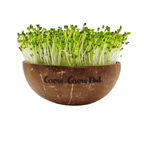  Microgreens Nachfüllpaket "Asian Festival"