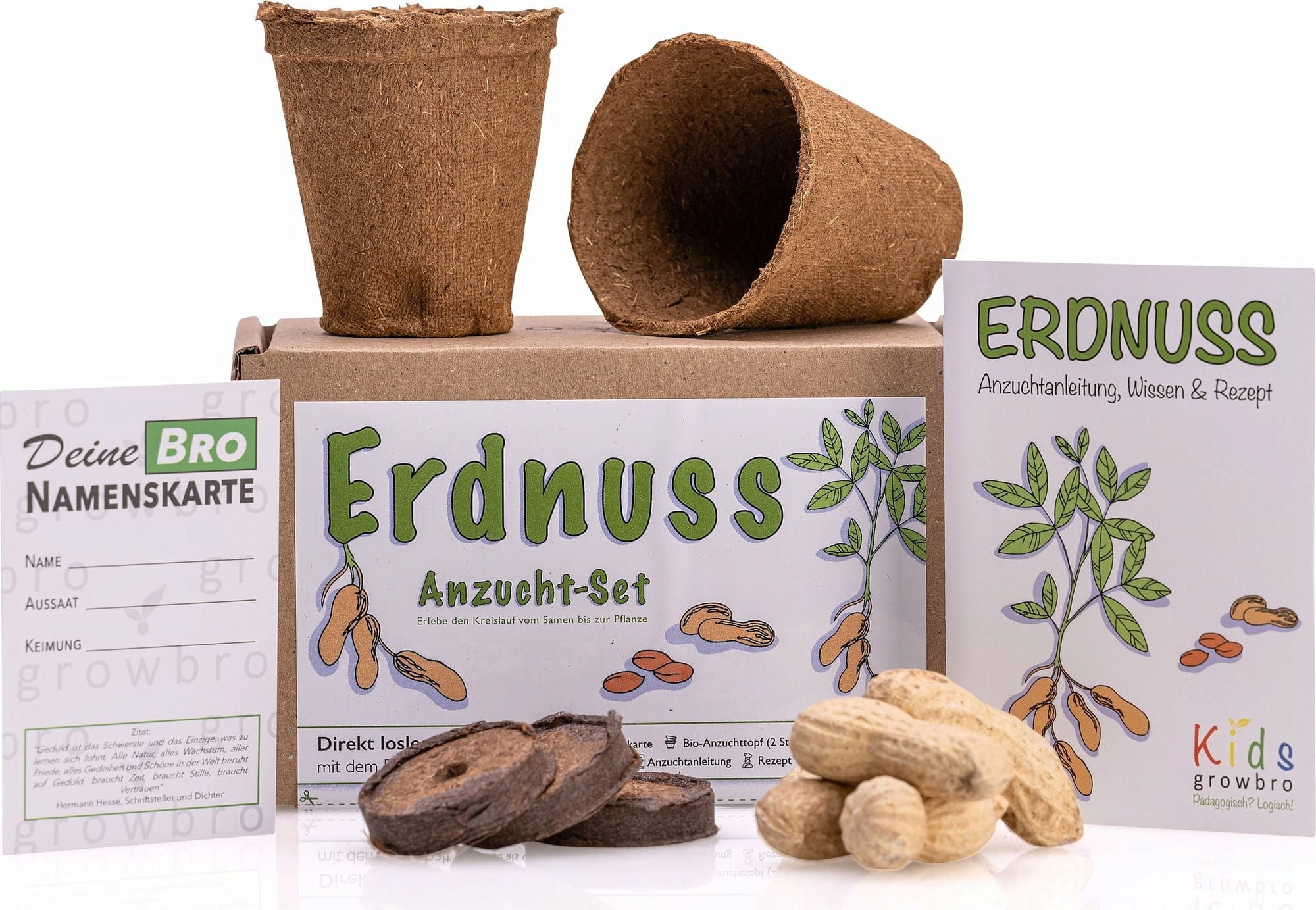  Erdnuss "Kids" Anzucht-Set
