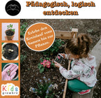  Erdnuss "Kids" Anzucht-Set