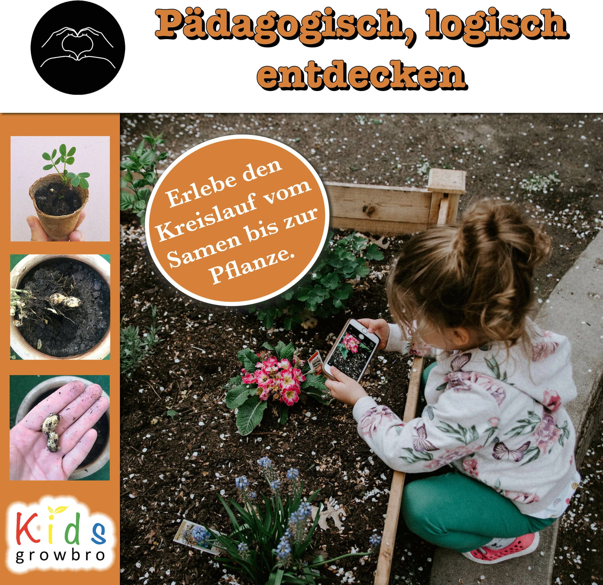  Erdnuss "Kids" Anzucht-Set
