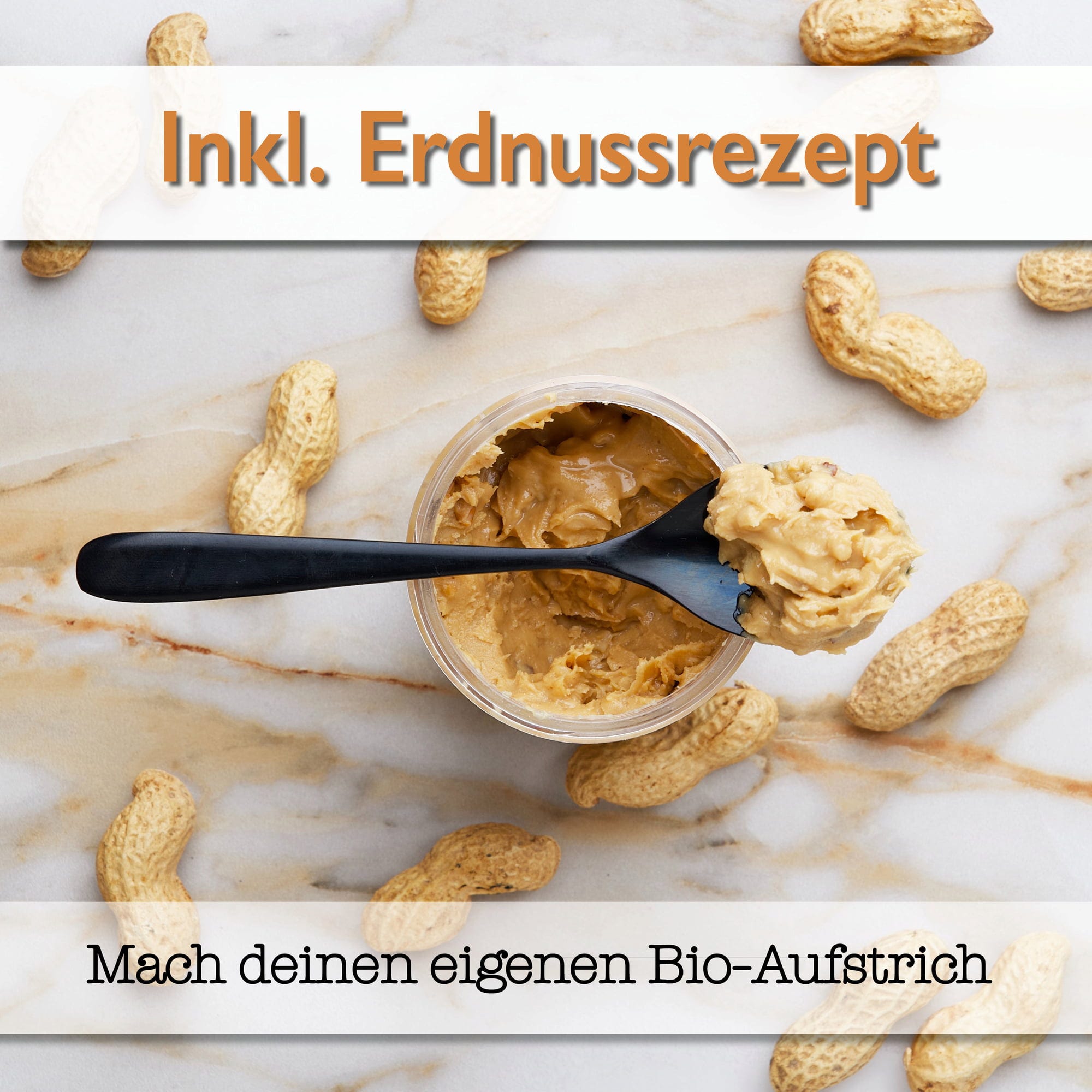  Erdnuss "Kids" Anzucht-Set