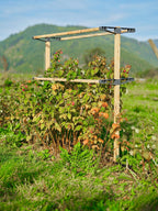  Berry Buddy, Breite 120cm