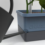  Charly Chili - Pflanztopf, Hellgrau