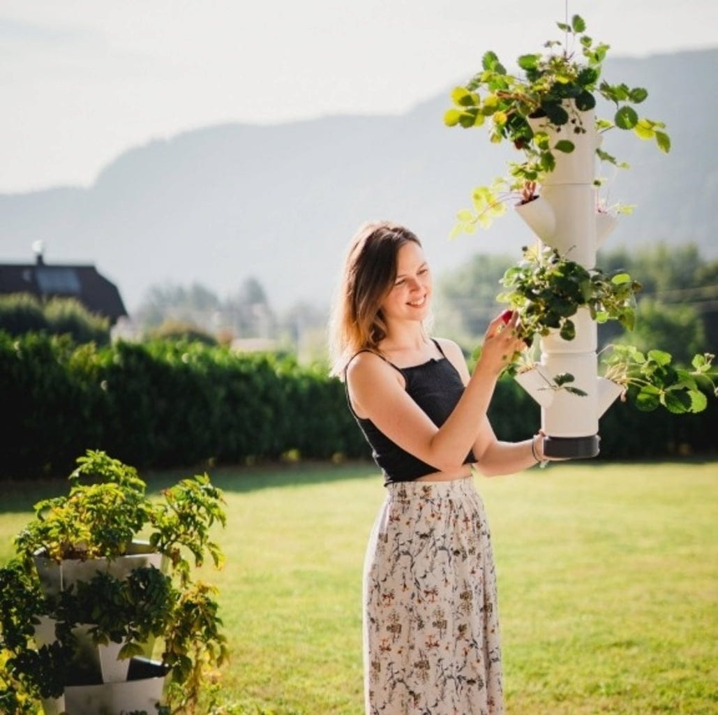  Erdbeerturm - Sissi Strawberry Hanging, Weiss