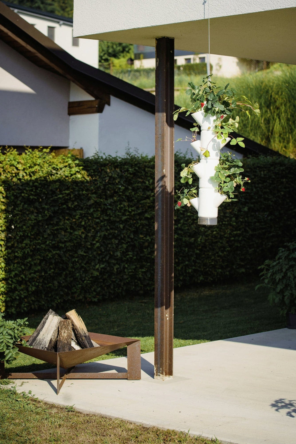  Erdbeerturm - Sissi Strawberry Hanging, Weiss