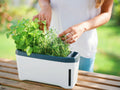  Harry Herbs Kräutertopf - Mit Haube, Weiß