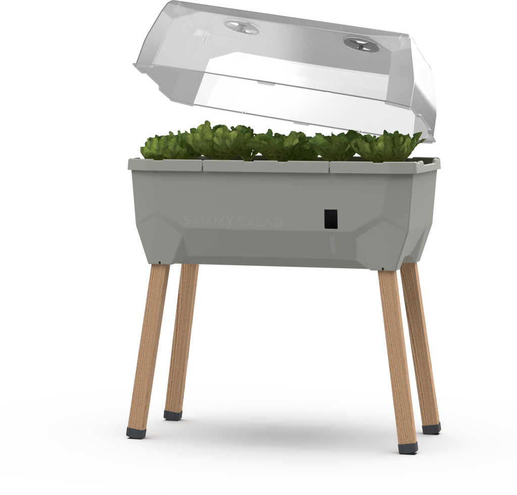  Hochbeet SAMMY SALAD Mit Wassertank & Haube, Hellgrau