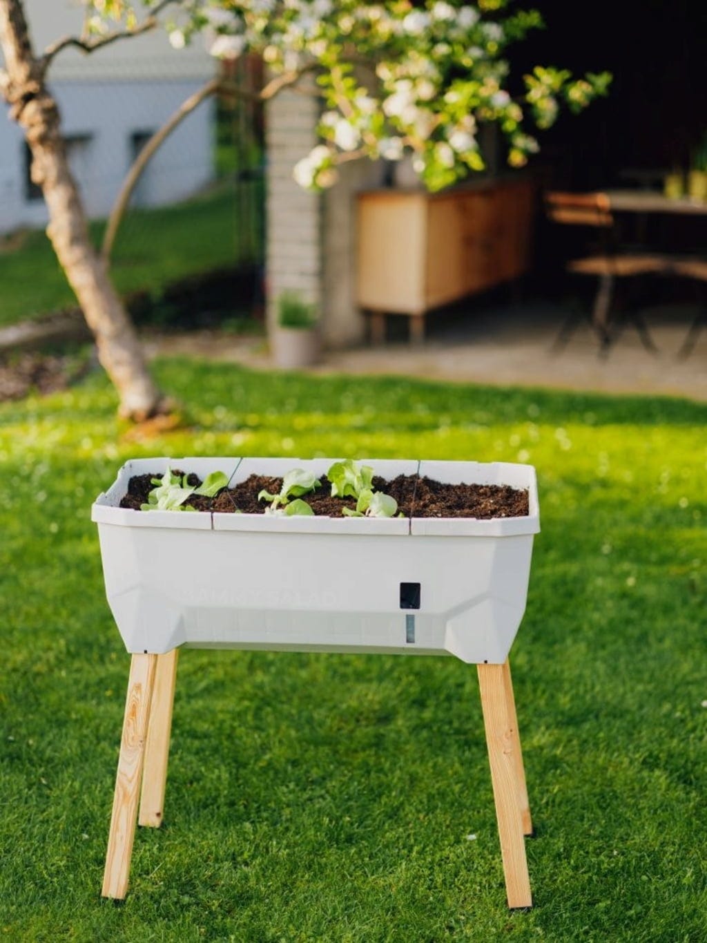  Hochbeet SAMMY SALAD Mit Wassertank & Haube, Hellgrau