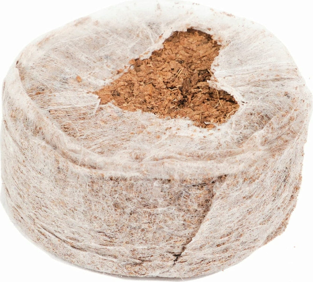  Kokos-Quelltöpfe