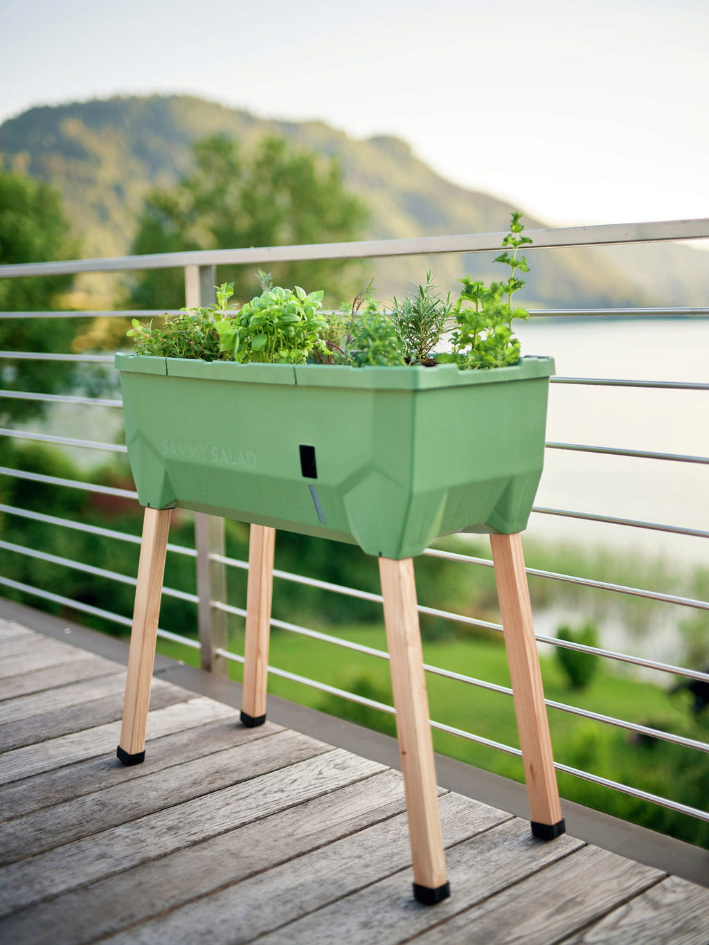  Sammy Salad Hochbeet - Ohne Haube, Dunkelgrün