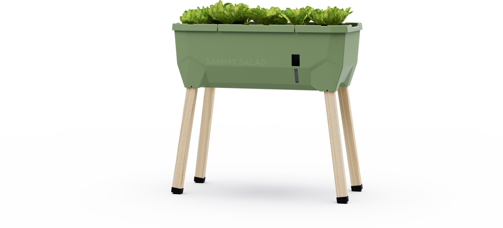  Sammy Salad Hochbeet - Ohne Haube, Dunkelgrün