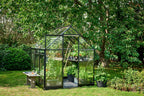 Halls Gewächshaus "Qube" - Schwarz, 3,9 M² (66)