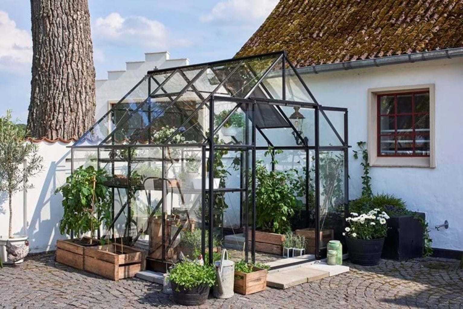 Halls Gewächshaus "Qube+" Schwarz, 6,6 M² (88)