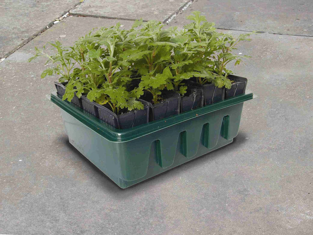  Anzuchtschale "Compact Rootrainers"