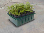  Anzuchtschale "Compact Rootrainers"