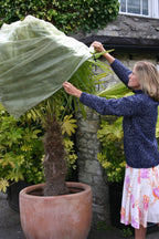  Easy Fleece Hülle, Medium (3 Stück)