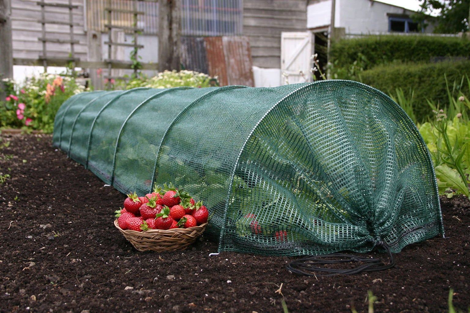  Easy Net Tunnel, Standard