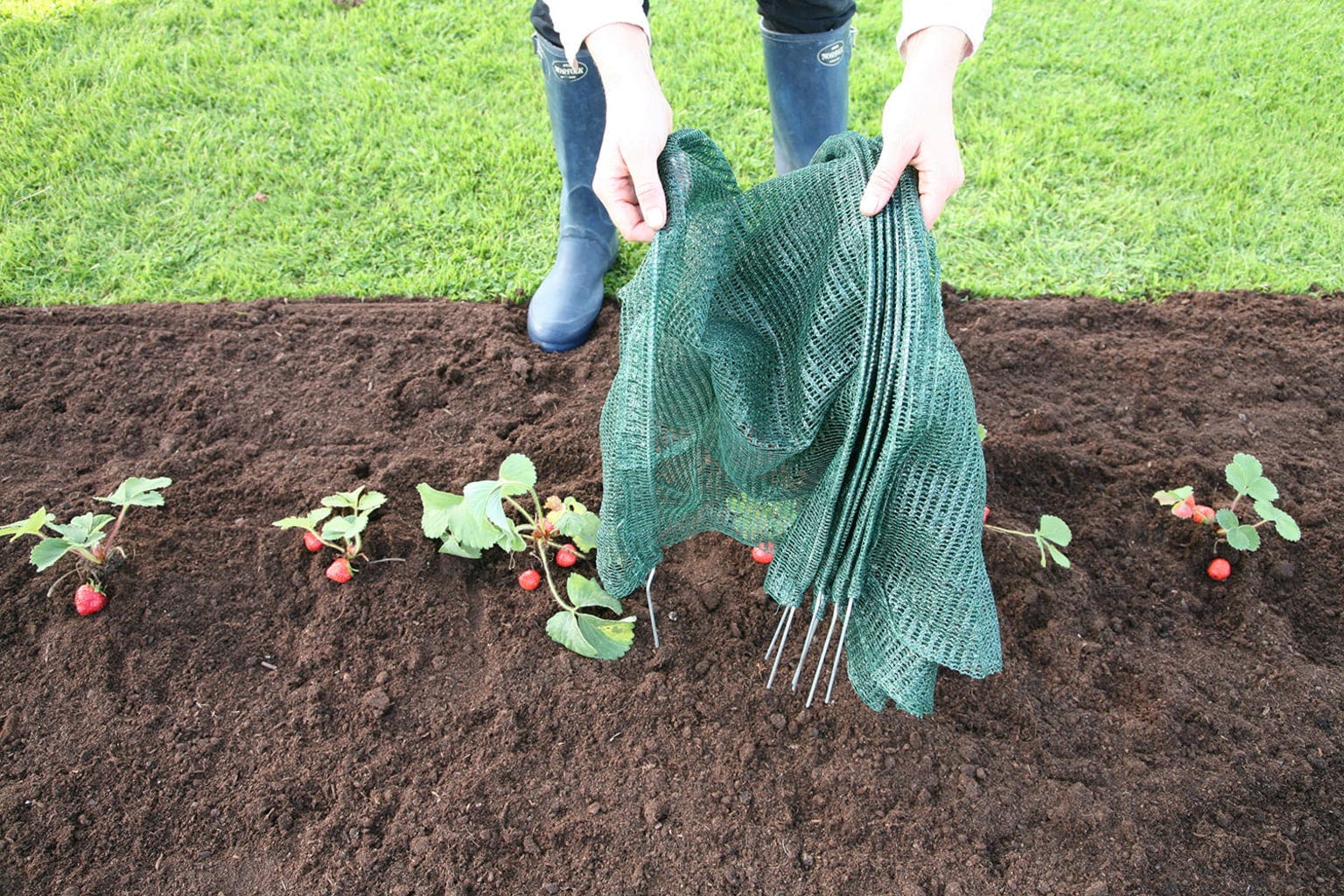  Easy Net Tunnel, Standard