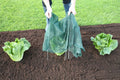  Easy Net Tunnel, Standard
