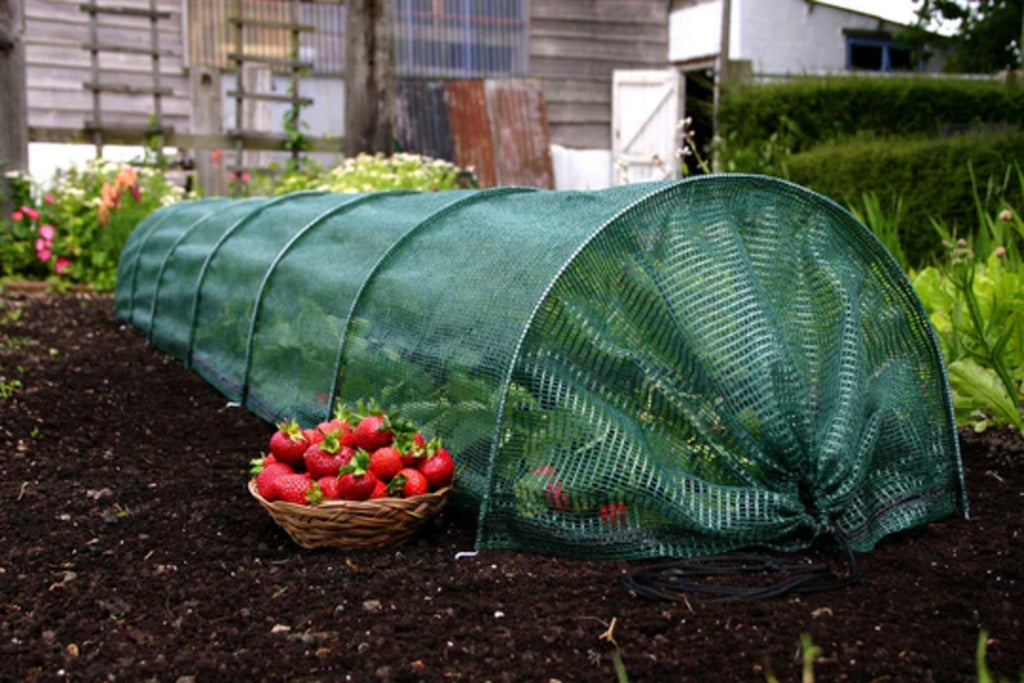  Easy Net Tunnel, Standard