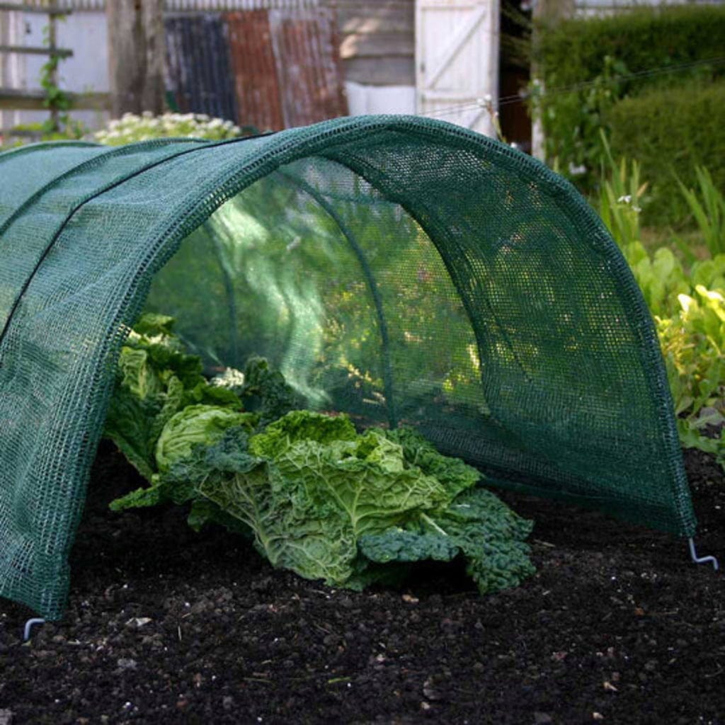  Easy Net Tunnel, Standard