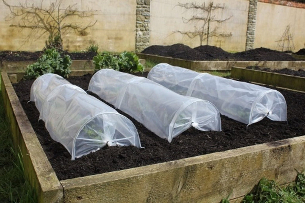  Easy Seedling Tunnel, 3 Stück