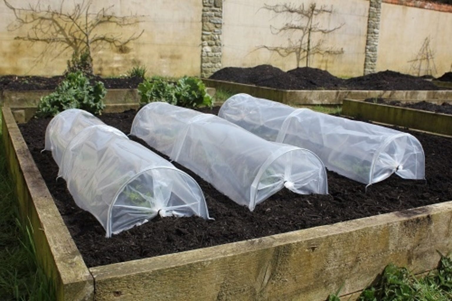  Easy Seedling Tunnel, 3 Stück