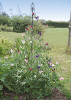  Garten-Maibaum
