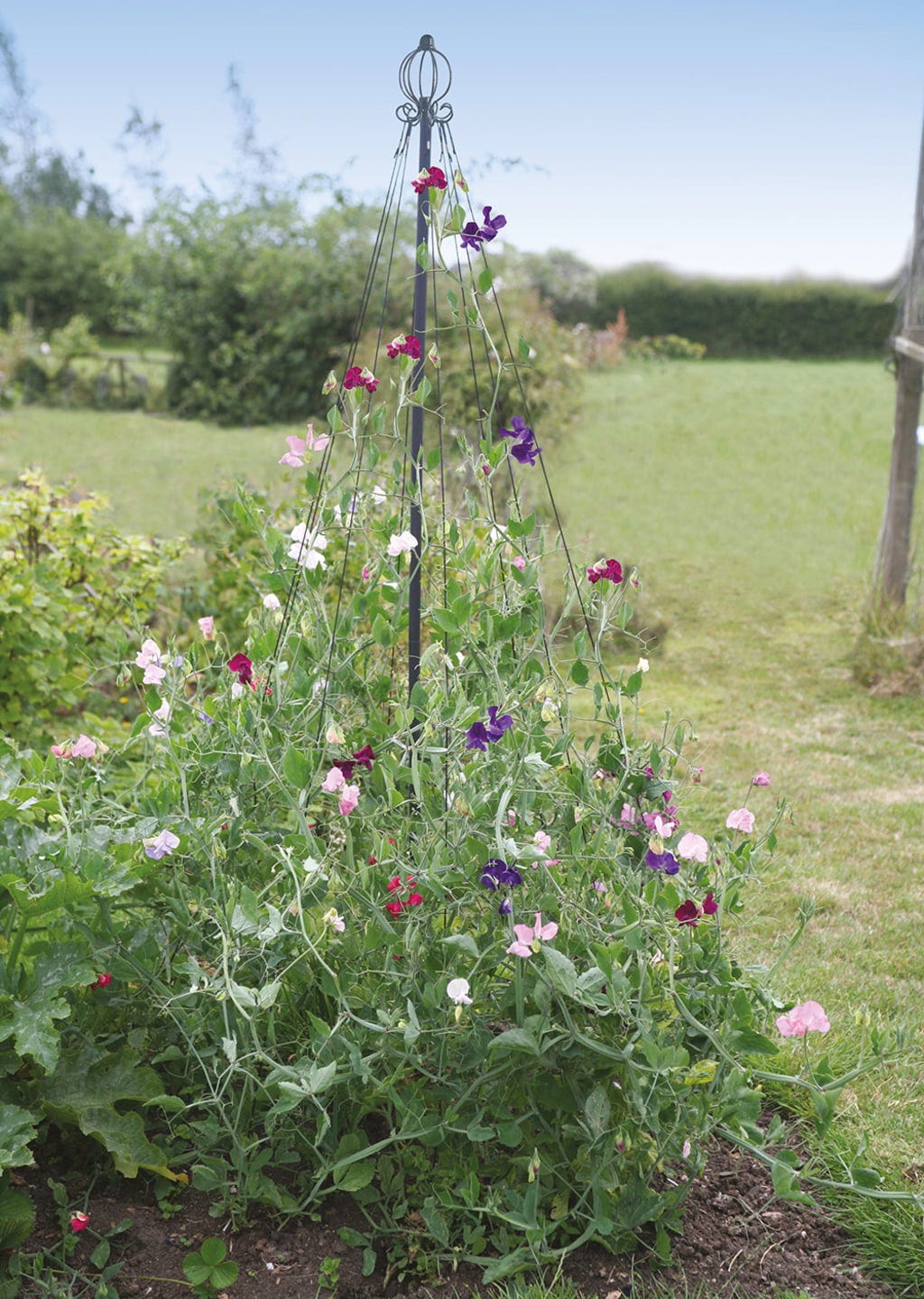  Garten-Maibaum