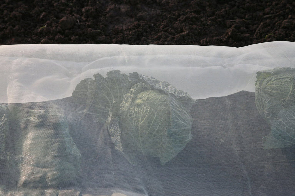  Micromesh Prepack