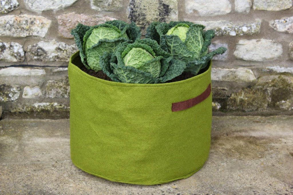  Vigoroot Gemüsepflanztasche