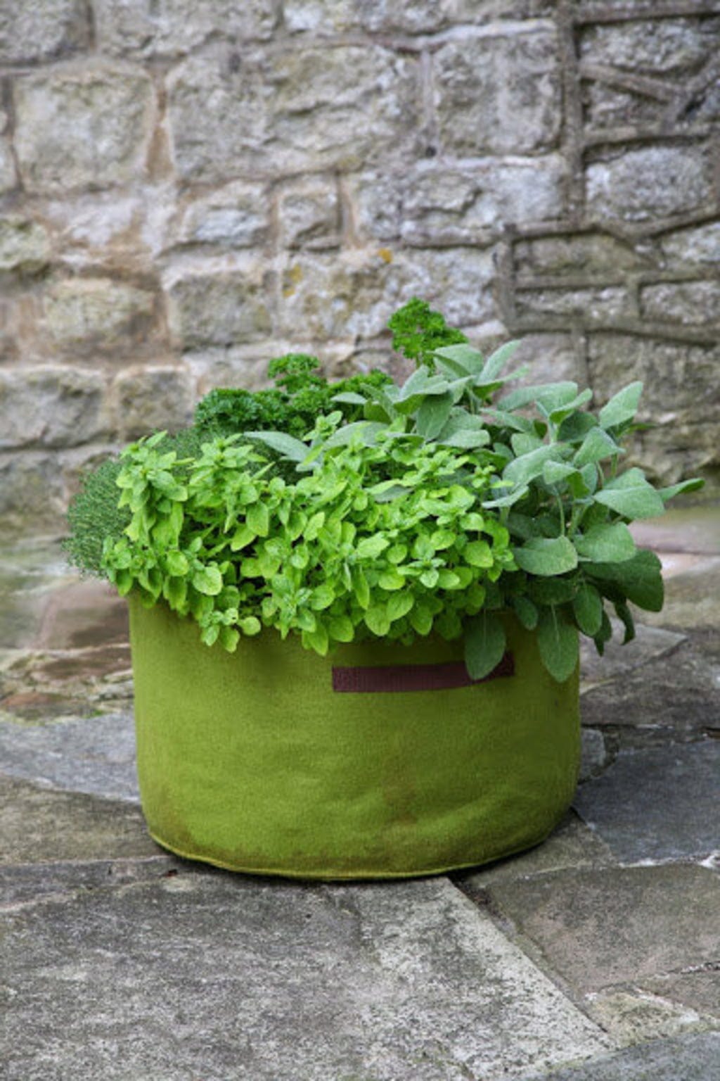  Vigoroot Kräuterpflanztasche