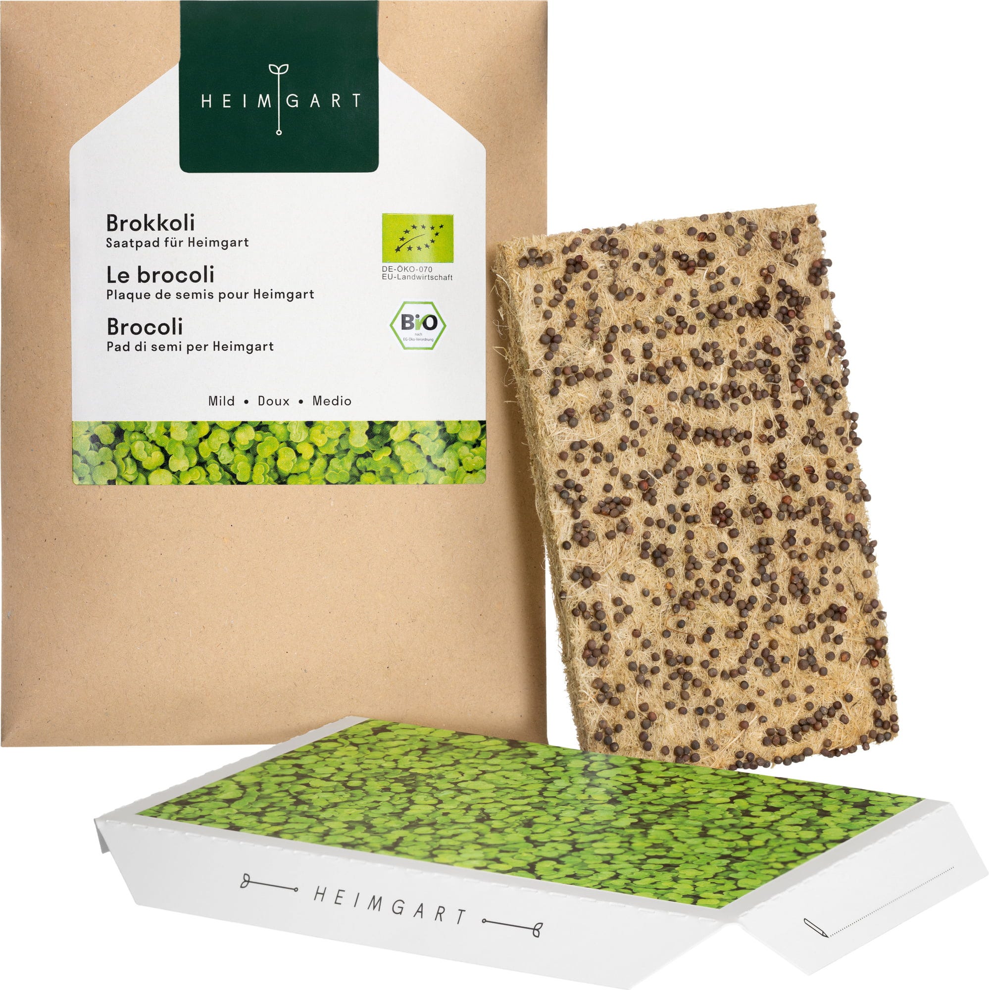  Brokkoli Microgreens Saatpad