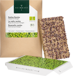  Radieschen Rambo Microgreen Saatpad