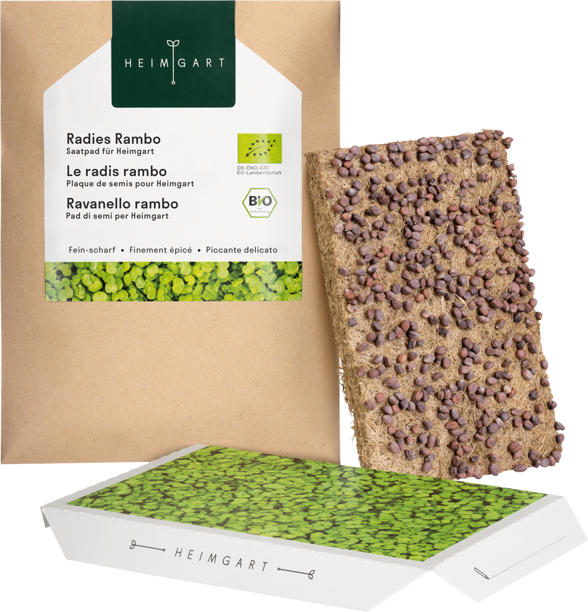  Radieschen Rambo Microgreen Saatpad