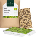  Rotkohl Microgreens Saatpad