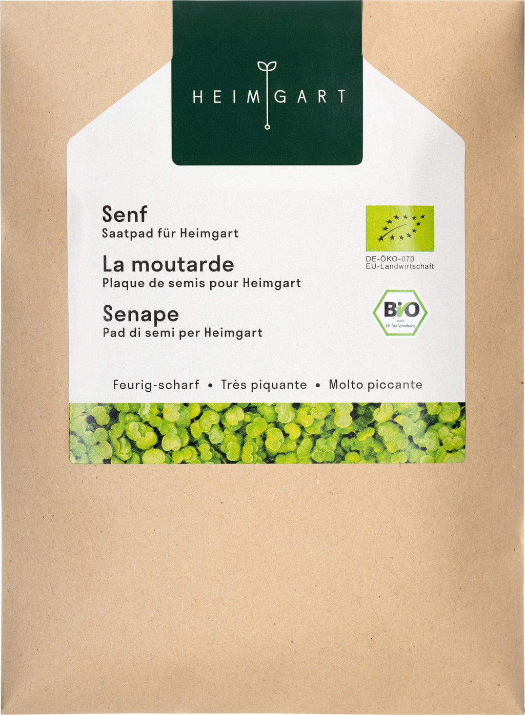  Senf Microgreens Saatpad