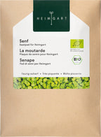  Senf Microgreens Saatpad