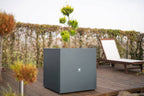  Pflanzkasten Cube 70x70x70, Anthrazit