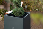  Pflanzkasten Cube 70x70x70, Anthrazit