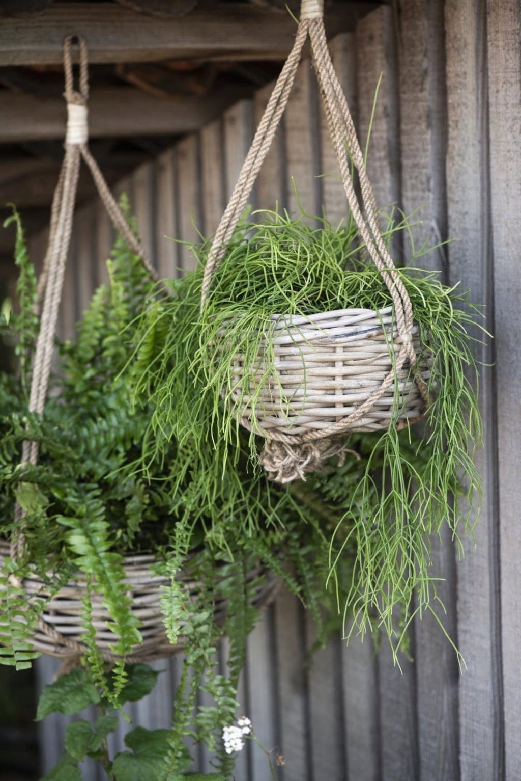  Hängekorb Rattan, H: 13 Cm Ø: 36 Cm
