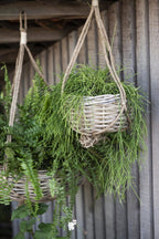  Hängekorb Rattan, H: 13 Cm Ø: 36 Cm